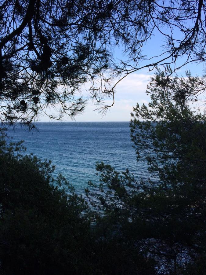 Les Bruyeres Bed & Breakfast Saint-Mandrier-sur-Mer Eksteriør bilde