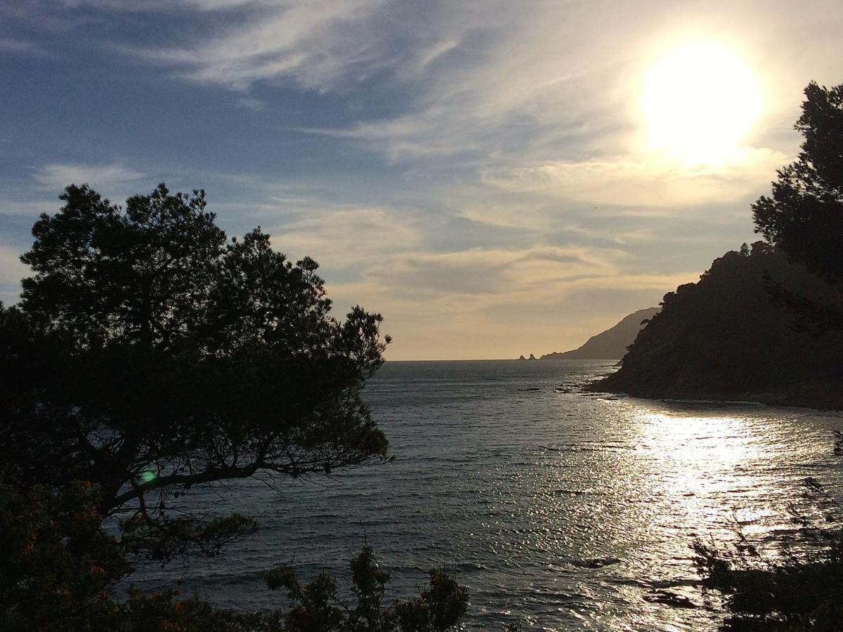 Les Bruyeres Bed & Breakfast Saint-Mandrier-sur-Mer Eksteriør bilde